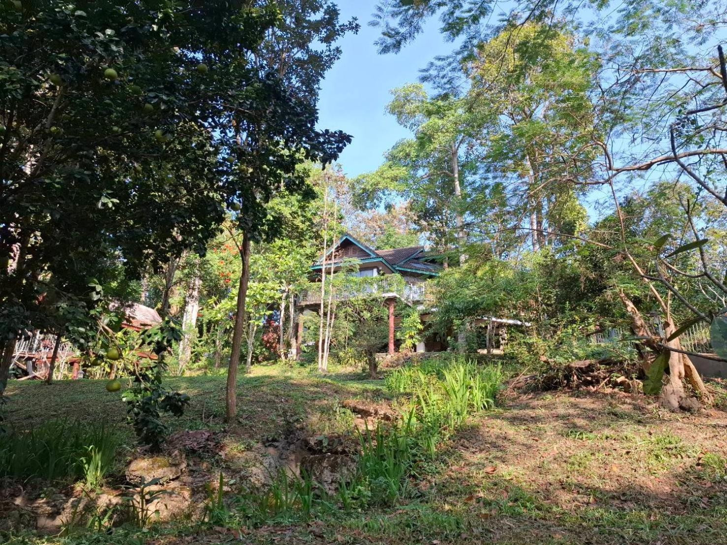 Balmy Hideout Cafe & Homestay Ban Huai Kaeo Exterior foto